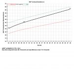 Beispielreport Dynamic CNCPS2