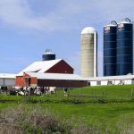 Wisconsin „The Dairyland of America“ ist das Herz der amerikanischen Milchviehhaltung und der Stammsitz von Rock River Laboratory, Inc.