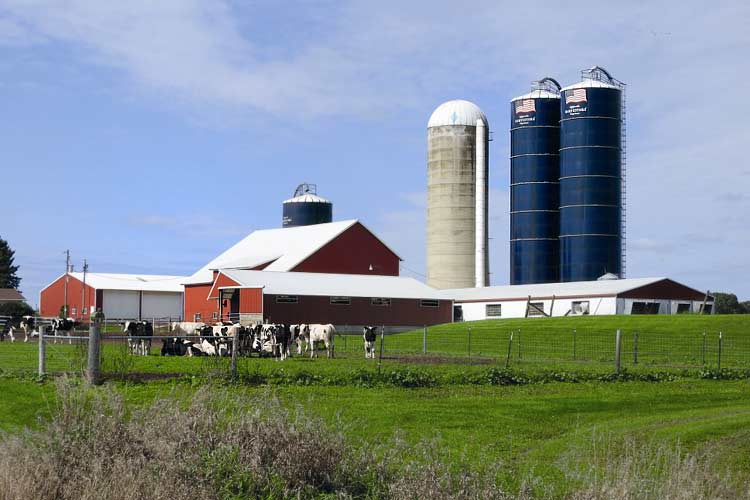 Wisconsin „The Dairyland of America“ ist das Herz der amerikanischen Milchviehhaltung und der Stammsitz von Rock River Laboratory, Inc.