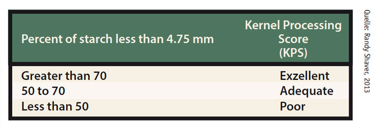 Feinere Stärke bringt mehr Milch. Wenn sich der KPS von adäquat auf exzellent verändert, steigt die Stärkeverdaulichkeit um 6%. Das kann bis zu einem Liter mehr Milchleistung pro Kuh und Tag bedeuten.