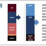 Die Faserfraktion in der Bewertung