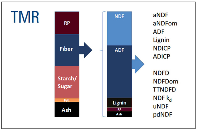 Composition of fiber in TMRs